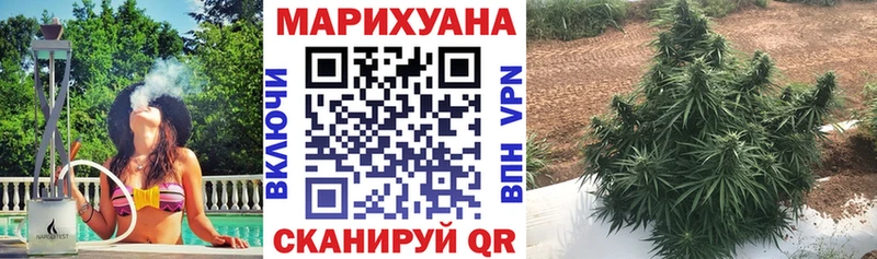 Где можно купить наркотики Петрозаводск Псилоцибиновые грибы  A PVP  МЕФ  ГАШ 