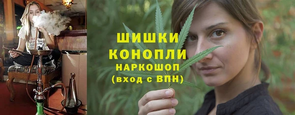 индика Балахна