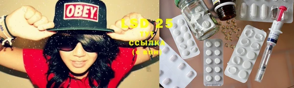 индика Балахна