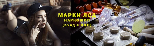 индика Балахна