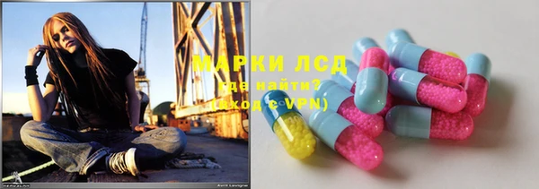 индика Балахна