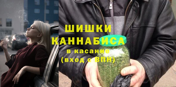 индика Балахна