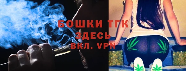 индика Балахна